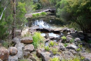 Ballarat Bird World